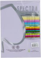Папір офісний Spectra Color A4 80 г/м А4 100 аркушів Lavende185 блідо-ліловий