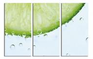 Картина модульная Лайм в воде 120x80 см WallArt 54640-3.2