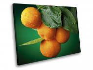 Картина Ветка спелых апельсинов 60x45 см WallArt 54641-1.2