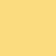 Краска латексная Triora TR-37 silk&baby шелковистый мат NCS S 1040-Y 10 л