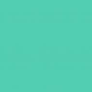 Краска латексная Triora TR-37 silk&baby шелковистый мат NCS S 1050-B70G 10 л