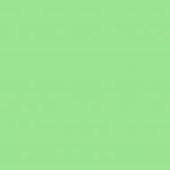 Краска латексная Triora TR-37 silk&baby шелковистый мат NCS S 1050-G10Y 10 л