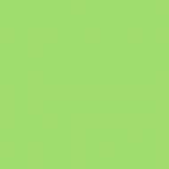 Краска латексная Triora TR-37 silk&baby шелковистый мат NCS S 1050-G20Y 10 л