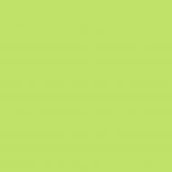 Краска латексная Triora TR-37 silk&baby шелковистый мат NCS S 1050-G40Y 10 л