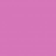 Краска латексная Triora TR-37 silk&baby шелковистый мат NCS S 1050-R40B 10 л