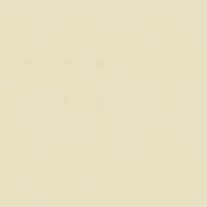 Краска латексная Triora TR-37 silk&baby шелковистый мат NCS S 1505-Y 10 л