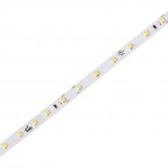 Лента светодиодная Luminaria 4,8 Вт IP20 24 В белый LS-2835 60LEDs/m 4,8W 24V 4000