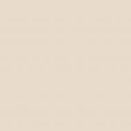 Краска латексная Triora TR-37 silk&baby шелковистый мат NCS S 1505-Y50R 10 л Краска латексная Triora TR-37 silk&baby шелковистый мат NCS S 1505-Y50R 10 л