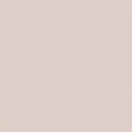 Краска латексная Triora TR-37 silk&baby шелковистый мат NCS S 1505-Y90R 10 л