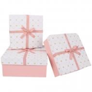 Коробка подарункова Angel Gifts 22х22х9 см арт. AG2524-2