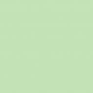 Краска латексная Triora TR-37 silk&baby шелковистый мат NCS S 1515-G20Y 10 л