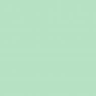 Краска латексная Triora TR-37 silk&baby шелковистый мат NCS S 1515-G 10 л Краска латексная Triora TR-37 silk&baby шелковистый мат NCS S 1515-G 10 л