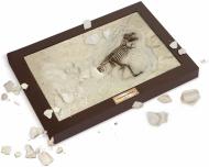 Набор Geoworld Лаборатория юного палеонтолога Тиранозавр Рекс CL145K