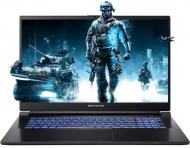 Ноутбук Dream Machines RG3050Ti-17 17,3" (RG3050TI-17UA37) black