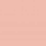 Краска латексная Triora TR-37 silk&baby шелковистый мат NCS S 1515-R 10 л Краска латексная Triora TR-37 silk&baby шелковистый мат NCS S 1515-R 10 л