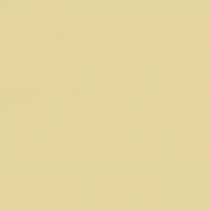 Краска латексная Triora TR-37 silk&baby шелковистый мат NCS S 1515-Y10R 10 л