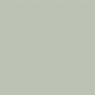 Краска латексная Triora TR-37 silk&baby шелковистый мат NCS S 2005-G40Y 10 л