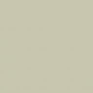 Краска латексная Triora TR-37 silk&baby шелковистый мат NCS S 2005-G80Y 10 л Краска латексная Triora TR-37 silk&baby шелковистый мат NCS S 2005-G80Y 10 л