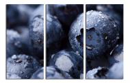 Картина модульная Свежая голубика 180x120 см WallArt 54650-3.4