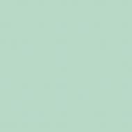 Краска латексная Triora TR-37 silk&baby шелковистый мат NCS S 2010-B90G 10 л