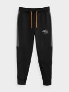 Брюки 4F J4Z20-JSPMTR400-20S р. 140 черный Брюки 4F J4Z20-JSPMTR400-20S р. 140 черный