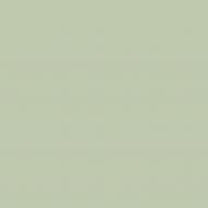 Краска латексная Triora TR-37 silk&baby шелковистый мат NCS S 2010-G40Y 10 л