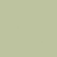 Краска латексная Triora TR-37 silk&baby шелковистый мат NCS S 2010-G60Y 10 л