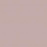 Краска латексная Triora TR-37 silk&baby шелковистый мат NCS S 2010-R10B 10 л Краска латексная Triora TR-37 silk&baby шелковистый мат NCS S 2010-R10B 10 л