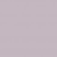 Краска латексная Triora TR-37 silk&baby шелковистый мат NCS S 2010-R40B 10 л