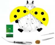 Ферма Муравьиная Ферма Желтый Жук комплект для новичка