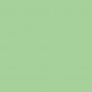 Краска латексная Triora TR-37 silk&baby шелковистый мат NCS S 2020-G20Y 10 л