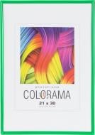 Рамка для фото La Colorama LA 45 green 1 фото 21х30 см зеленый