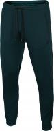 Брюки 4F NOSD4-SPMTR300-31S р. 3XL синий