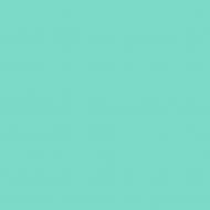 Краска латексная Triora TR-37 silk&baby шелковистый мат NCS S 2030-B60G 10 л Краска латексная Triora TR-37 silk&baby шелковистый мат NCS S 2030-B60G 10 л