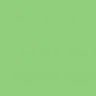 Краска латексная Triora TR-37 silk&baby шелковистый мат NCS S 2030-G20Y 10 л Краска латексная Triora TR-37 silk&baby шелковистый мат NCS S 2030-G20Y 10 л