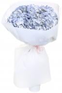 Гортензія Jumbo фіолетовий