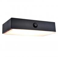 Светильник уличный настенный Lutec FADI 2700-6500K PIR Solar 5 Вт IP44 черный 6939501330