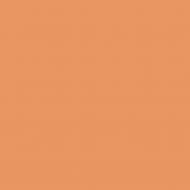 Краска латексная Triora TR-37 silk&baby шелковистый мат NCS S 2030-Y50R 10 л