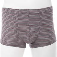 Трусы мужские 071-1277 серые LL серый