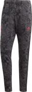 Брюки Adidas CAPTSUBA TR PNT GK3436 р. M черный