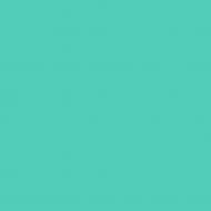 Краска латексная Triora TR-37 silk&baby шелковистый мат NCS S 2040-B60G 10 л Краска латексная Triora TR-37 silk&baby шелковистый мат NCS S 2040-B60G 10 л