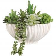 Цветочная композиция Микс суккулентов керамическому горшку 26,67х17,78х22,86 см зеленый Sensio