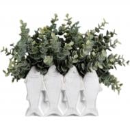 Цветочная композиция Эвкалипт в белом керамическом горшке 28,58х13,97х25,4 см зеленый Sensio