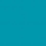 Краска латексная Triora TR-37 silk&baby шелковистый мат NCS S 2050-B10G 10 л