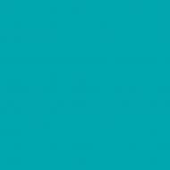 Краска латексная Triora TR-37 silk&baby шелковистый мат NCS S 2050-B20G 10 л