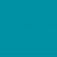 Краска латексная Triora TR-37 silk&baby шелковистый мат NCS S 2055-B10G 10 л Краска латексная Triora TR-37 silk&baby шелковистый мат NCS S 2055-B10G 10 л