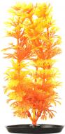 Рослина Hagen Ambulia orange 13 см