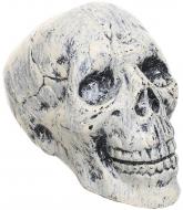 Декорация Черепа 6 шт. (18911-001)