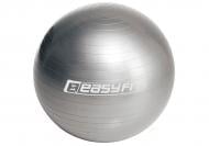 Мяч для фитнеса EasyFit 55 см серый (EF-55-GY) d55 EF-3006