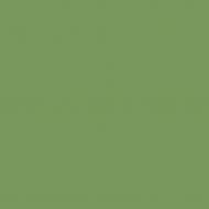 Краска латексная Triora TR-37 silk&baby шелковистый мат NCS S 3030-G30Y 10 л